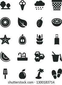 Solid Black Vector Icon Set - wicker pot vector, rainy cloud, children's sand set, popsicle, cone, mint, honeycombs, tasty mulberry, slice of water melon, half loquat, kiwi, guava, grapefruit, leaf