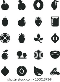 Solid Black Vector Icon Set - jam vector, apple, peach, apricot, plum, raspberry, medlar, half of, blueberry, water melon, mango, juicy lemon, kiwi, tamarillo, ripe pineapple, leaves, leaf, trees