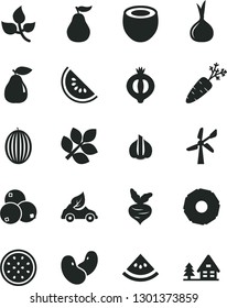 Solid Black Vector Icon Set - pear vector, half of medlar, blueberries, melon, slice water, passion fruit, coconut, pineapple, ripe guava, garlic, onion, carrot, beet, beans, leaves, wind energy