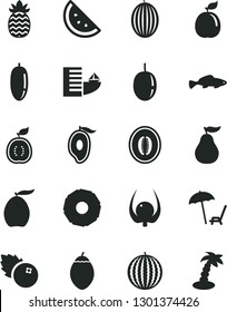Solid Black Vector Icon Set - small fish vector, blueberries, orange slice, melon, water, half of mango, loquat, date fruit, passion, tamarillo, guava, guawa, pineapple, ripe, physalis, hotel