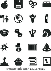 Solid Black Vector Icon Set - window frame vector, building block, heating coil, porcini, muffin, apricot, kiwi, drop of oil, three gears, usb, floppy, test tube, bang, winner, podium, man hold flag