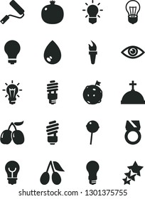 Solid Black Vector Icon Set - matte light bulb vector, new roller, saving, eye, drop, Chupa Chups, pomegranate, cornels, tasty, energy, flame torch, flag on moon, gold ring, crown with cross