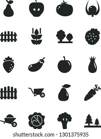 Solid Black Vector Icon Set - garden trolley vector, building, fence, hedge, tomato, carrot, strawberries, pear, mint, squash, tasty apple, raspberry, rose hip, plum, physalis, broccoli, eggplant