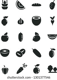 Solid Black Vector Icon Set - loaf vector, cucumber, coffee beans, mint, quince, apricot, blueberry, tasty mulberry, slice of water melon, date fruit, lemon, yellow, kiwi, half coconut, ripe pepper
