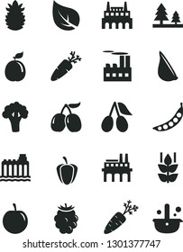 Solid Black Vector Icon Set - garlic vector, carrot, mint, cornels, blackberry, tasty, plum, guava, ripe pineapple, pepper, peas, broccoli, leaf, hydroelectricity, forest, industrial building