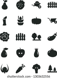 Solid Black Vector Icon Set - garden trolley vector, building, fence, hedge, tomato, carrot, strawberries, pear, mint, squash, tasty apple, rose hip, physalis, stub, broccoli, eggplant, pumpkin