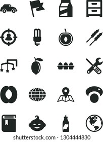 Solid Black Vector Icon Set - book vector, toys over the cot, funny hairdo, small tools, map, flag, nightstand, package, bundle of eggs, barbecue, liquor, half peach, cherry, lemon, mashroom, globe