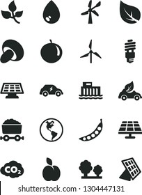 Solid Black Vector Icon Set - drop vector, porcini, apple, tangerine, peas, solar panel, leaves, leaf, windmill, wind energy, planet Earth, hydroelectric station, trees, saving bulb, eco car, sun