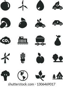 Solid Black Vector Icon Set - drop vector, porcini, apple, pear, tangerine, yellow lemon, broccoli, leaves, windmill, wind energy, planet Earth, hydroelectric station, trees, saving bulb, eco car