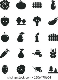 Solid Black Vector Icon Set - garden trolley vector, building, fence, hedge, tomato, carrot, strawberries, pear, mint, squash, tasty apple, raspberry, rose hip, plum, stub, broccoli, eggplant, trees