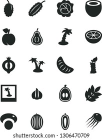 Solid Black Vector Icon Set - peach vector, squash, half of medlar, mulberry, melon, slice tangerine, loquat, sweet date fruit, coconut, grapefruit, part guava, apple stub, garlic, mashroom, biology