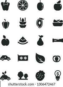 Solid Black Vector Icon Set - construction level vector, lettuce in a plate, peper, strawberries, apple, pear, mint, apricot, half of mango, passion fruit, slice lemon, water melon, tomato, leaf