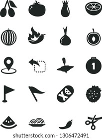 Solid Black Vector Icon Set - wind direction indicator vector, pennant, tumbler, small yule, move left, onion, tomato, strawberries, rose hip, cornels, water melon, half cherry, of grapefruit, slice