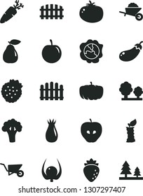 Solid Black Vector Icon Set - garden trolley vector, building, fence, hedge, tomato, carrot, strawberries, squash, pear, tasty apple, raspberry, rose hip, plum, physalis, stub, broccoli, eggplant