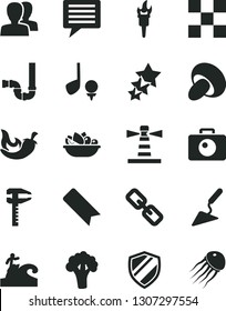 Solid Black Vector Icon Set - image of thought vector, bookmark, spectacles, women, building trowel, siphon, tile, camera, porcini, a plate fruit, chili, broccoli, calipers, lighthouse, flame torch