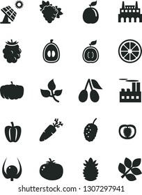 Solid Black Vector Icon Set - tomato vector, carrot, branch of grape, cornels, blackberry, tasty mulberry, half loquat, juicy lemon, guava, guawa, ripe pineapple, physalis, Bell pepper, pumpkin