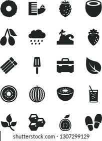 Solid Black Vector Icon Set - rainy cloud vector, suitcase, a glass of soda, popsicle, honeycombs, raspberry, cornels, tasty, water melon, kiwi, half, guawa, coconut, slice pineapple, leaves, leaf