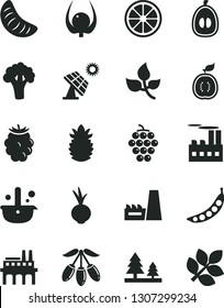 Solid Black Vector Icon Set - beet vector, large grape, blackberry, goji berry, slice of tangerine, half loquat, juicy lemon, guawa, ripe pineapple, physalis, peas, broccoli, big solar panel, leaves