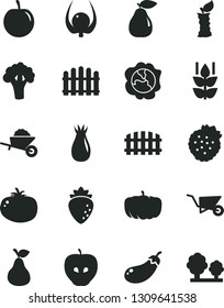 Solid Black Vector Icon Set - garden trolley vector, building, fence, hedge, tomato, strawberries, pear, mint, squash, tasty apple, raspberry, rose hip, plum, physalis, stub, broccoli, eggplant