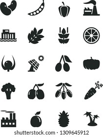 Solid Black Vector Icon Set - mint vector, cornels, tasty, goji berry, juicy lemon, guava, ripe pineapple, physalis, pepper, carrot, peas, beans, broccoli, pumpkin, big solar panel, factory, biology