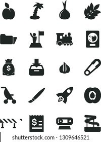 Solid Black Vector Icon Set - tassel vector, summer stroller, safety pin, road fence, put in a box, apple, half apricot, garlic, onion, article on the dollar, dollars, web camera, folder, biology