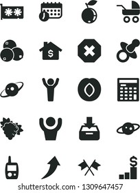 Solid Black Vector Icon Set - mark of injury vector, dummy, baby carriage, toy mobile phone, put in a box, branch grape, plum, blueberry, blueberries, schedule, engineer calculator, gpu card, saturn