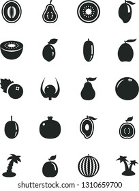 Solid Black Vector Icon Set - blueberries vector, pomegranate, water melon, mango, half of, loquat, date fruit, passion, kiwi, sour lime, guava, guawa, grapefruit, ripe, part, physalis, palm tree