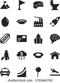 Solid Black Vector Icon Set - pennant vector, comfortable toilet, home, car, pass card, cheese, Hot Dog, a plate of milk, Chupa Chups, lime, industrial building, brain, rocket, growth graph, arrows