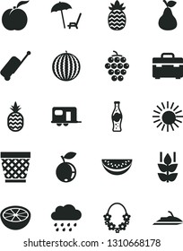 Solid Black Vector Icon Set - wicker pot vector, rainy cloud, suitcase, bottle of soda, a pineapple, pear, mint, ripe peach, large grape, blueberry, water melon, slice, half grapefruit, camper, sun