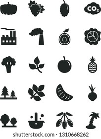 Solid Black Vector Icon Set - beet vector, a pineapple, branch of grape, squash, mulberry, goji berry, slice tangerine, tasty plum, half guawa, broccoli, pumpkin, leaves, manufacture, trees, forest