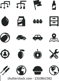 Solid Black Vector Icon Set - sign of the planet vector, toys over cradle, cot, baby bath ball, motor vehicle, small tools, map, flag, nightstand, package, bundle eggs, cake, barbecue, liquor, lemon