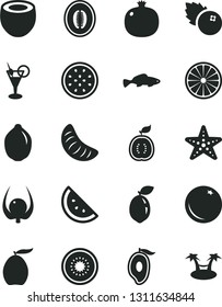 Solid Black Vector Icon Set - small fish vector, blueberries, orange slice, pomegranate, half of mango, loquat, melon, tangerine, lime, kiwi, passion fruit, sour, guawa, coconut, physalis, cocktail