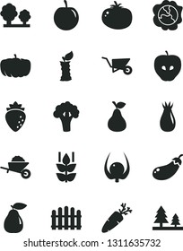 Solid Black Vector Icon Set - garden trolley vector, building, hedge, tomato, carrot, pear, mint, squash, tasty apple, raspberry, rose hip, plum, physalis, stub, broccoli, eggplant, pumpkin, trees