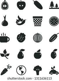 Solid Black Vector Icon Set - wicker pot vector, cucumber, cup of tea, strawberries, pear, apricot, tasty apple, water melon, half loquat, passion fruit, sour lime, hot pepper, onion, carrot, leaves