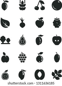 Solid Black Vector Icon Set - beet vector, apple, orange, mint, cherry, large grape, red, tasty, blackberry, blueberry, mulberry, mango, half peach, ripe plum, lemon, of guawa, part guava, leaf