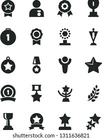 Solid Black Vector Icon Set - star vector, medal, winner, laurel branch, award, cup, gold, reward, man with, pennant, first place, ribbon, hero, three stars
