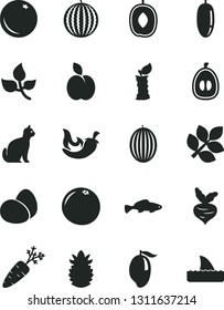 Solid Black Vector Icon Set - eggs vector, chili, small fish, apple, orange, melon, water, mango, delicious plum, date fruit, half loquat, ripe pineapple, grapefruit, stub, carrot, beet, leaves