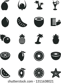 Solid Black Vector Icon Set - blueberries vector, orange slice, mango, half of, loquat, tangerine, lime, kiwi, coconut, ripe pineapple, grapefruit, physalis, hotel, palm tree, cocktail, starfish