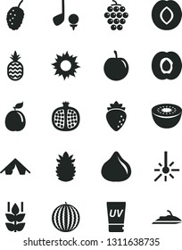 Solid Black Vector Icon Set - a pineapple vector, mint, half apricot, pomegranate, large grape, plum, raspberry, fig, tasty mulberry, water melon, kiwi, guava, ripe, outdoor thermometer, tent, sun