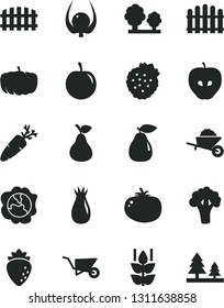Solid Black Vector Icon Set - garden trolley vector, building, fence, hedge, tomato, carrot, strawberries, pear, mint, squash, tasty apple, raspberry, rose hip, plum, physalis, broccoli, pumpkin