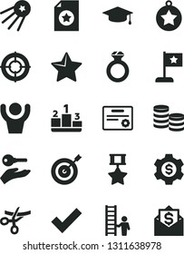 Solid Black Vector Icon Set - check mark vector, star, pedestal, coins, graduate, medal, flag, target, hero, certificate, man with ladder, diamond ring, aim, arm key, hands up, dollar gear