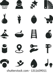 Solid Black Vector Icon Set - powder vector, baby stroller, cloud, color samples, stepladder, drop, a bowl of rice porridge, tamarillo, guava, onion, mashroom, racer, calipers, geolocation, golf