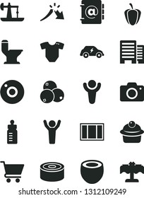 Solid Black Vector Icon Set - camera vector, feeding bottle, t short, window frame, comfortable toilet, buildings, address book, cart, canned goods, muffin, blueberries, half of coconut, ripe pepper