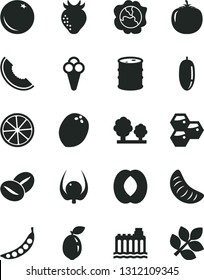Solid Black Vector Icon Set - coffee beans vector, cone, orange, honeycombs, squash, strawberry, slice of melon, half peach, date fruit, tangerine, sour lime, lemon, coconut, physalis, persimmon