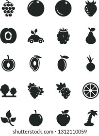 Solid Black Vector Icon Set - beet vector, pear, orange, half apricot, grape, branch of, large, red apple, strawberry, blackberry, mango, tasty plum, cherry, lemon, juicy, grapefruit, leaves, trees
