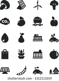 Solid Black Vector Icon Set - drop vector, porcini, apple, pear, mint, tangerine, yellow lemon, peas, broccoli, windmill, hydroelectric station, hydroelectricity, environmentally friendly transport