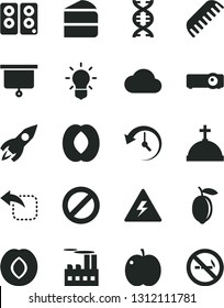 Solid Black Vector Icon Set - danger of electricity vector, prohibition, comb, move left, piece cake, apple, plum, half peach, lemon, industrial building, rocket, pc speaker, projector, history, dna