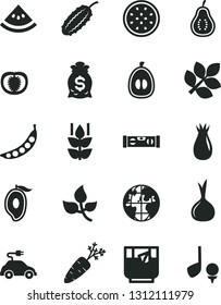 Solid Black Vector Icon Set - building level vector, a glass of tea, mint, rose hip, half mango, loquat, passion fruit, part guava, slice water melon, tomato, onion, carrot, peas, cucumber, leaves