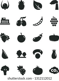 Solid Black Vector Icon Set - tomato vector, garlic, grape, branch of, large, rose hip, tasty cornels, plum, ripe pineapple, physalis, peas, mashroom, broccoli, eggplant, pumpkin, leaf, manufacture