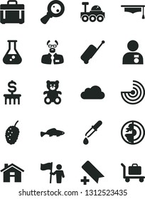 Solid Black Vector Icon Set - house vector, add bookmark, teddy bear, case, small fish, tasty mulberry, magnifying glass, cloud, flask, pipette, scientist, graduate hat, radar, earth core, hold flag